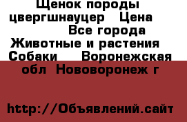 Щенок породы  цвергшнауцер › Цена ­ 30 000 - Все города Животные и растения » Собаки   . Воронежская обл.,Нововоронеж г.